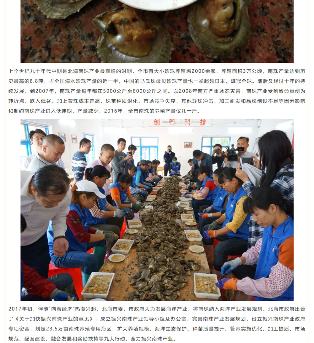 古老南珠，綻放異彩