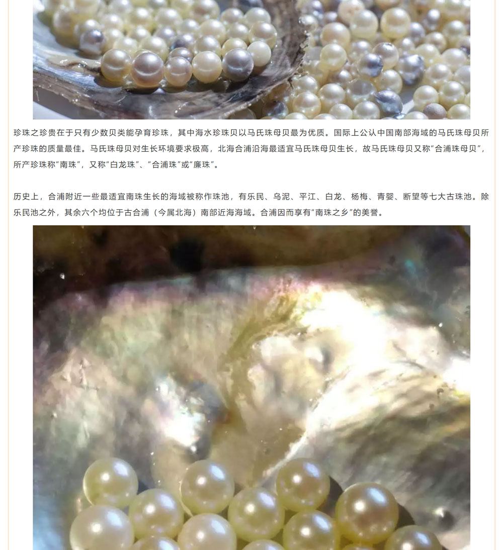 古老南珠，綻放異彩