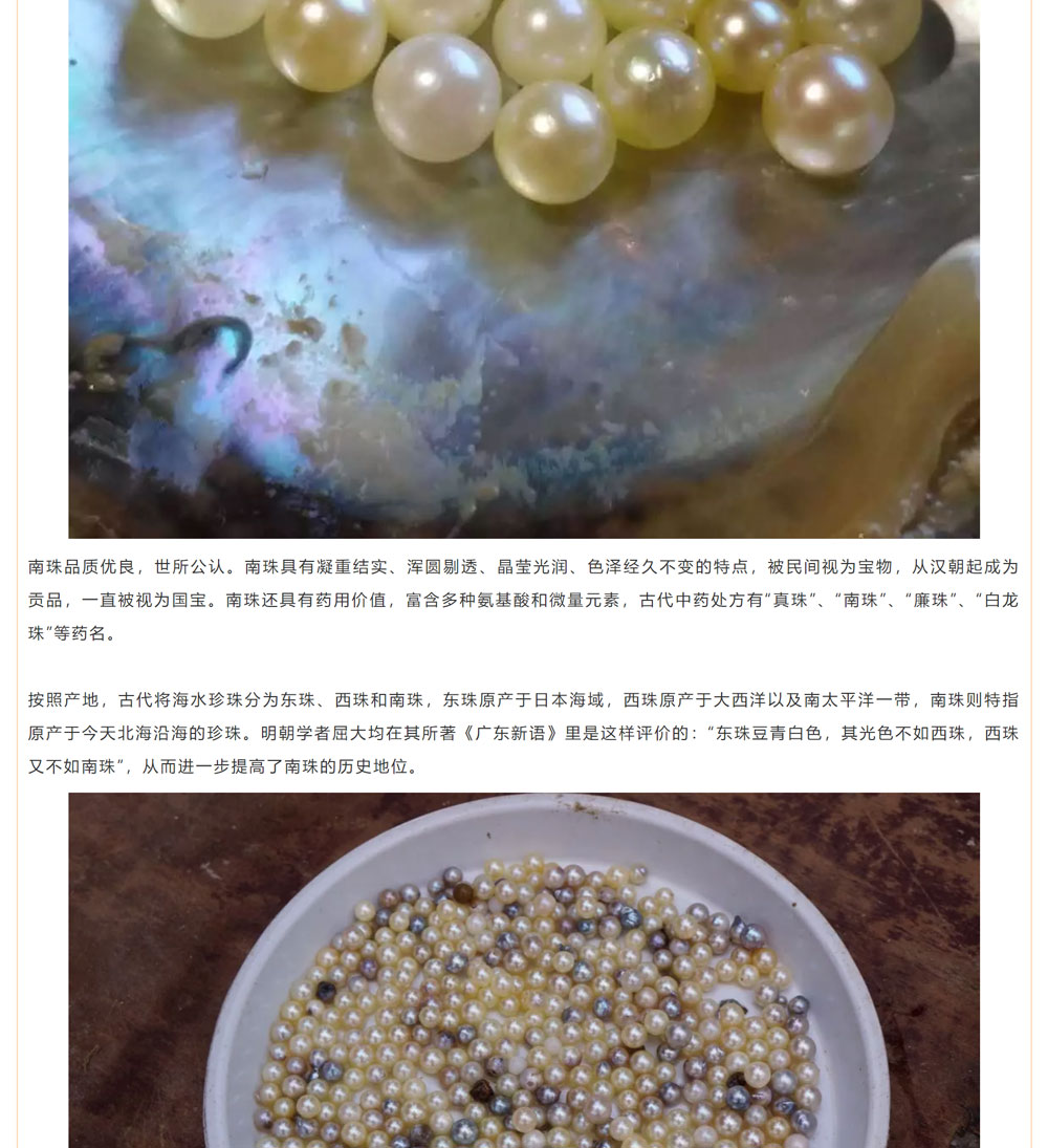 古老南珠，綻放異彩